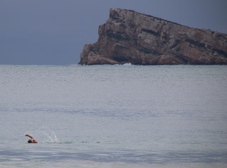 Lone swimmer