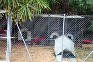 Kennels