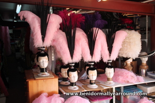 feather headdress 
