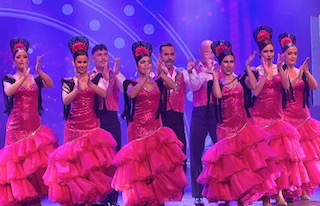 pink flamenco