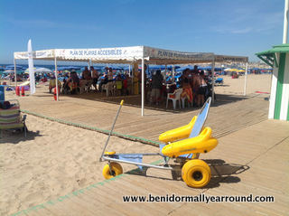 disabled buggy