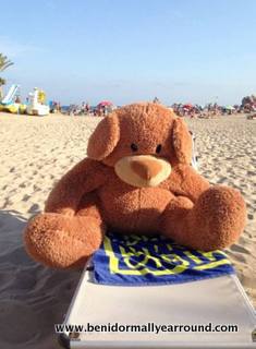 brian bear at the beach
