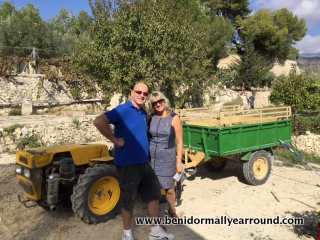 me with Tony Grande with olive harvest